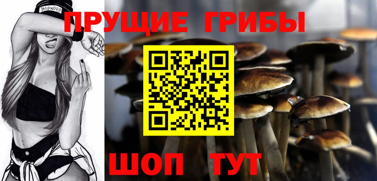 Галлюциногенные грибы Cubensis Белореченск